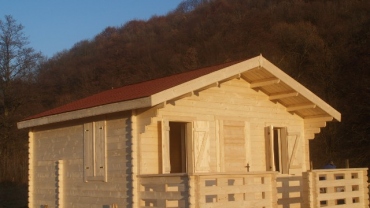 Casa din lemn F2
