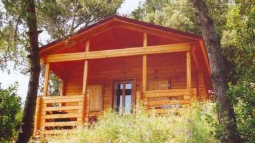 Casa din lemn F10